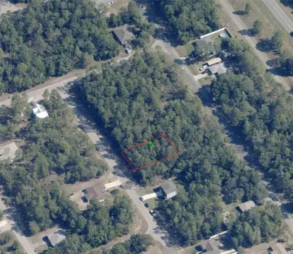 Citrus Springs Wooded Lot