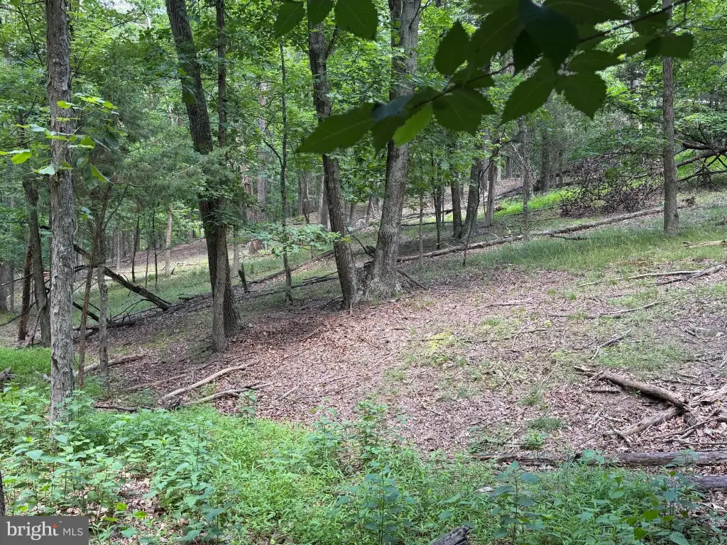 Picture 15