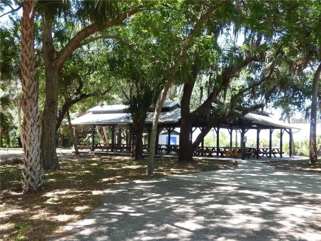 Picture 15