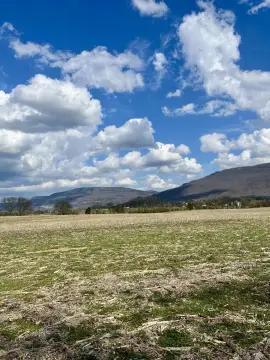 Expansive Unrestricted Land in Dunlap, TN