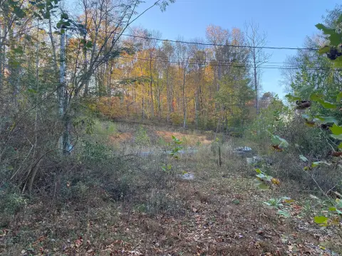 Residential Land in Jasper, TN