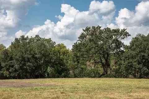 Cleared Lot in Burton, TX