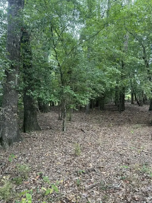 Picture 4