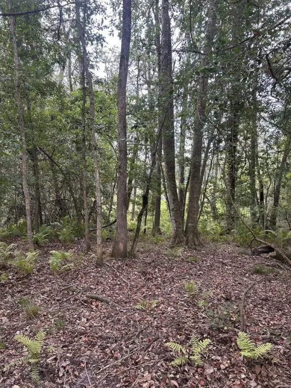 Picture 5