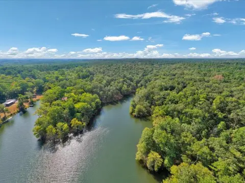 Wooded Toledo Bend Waterfront Land