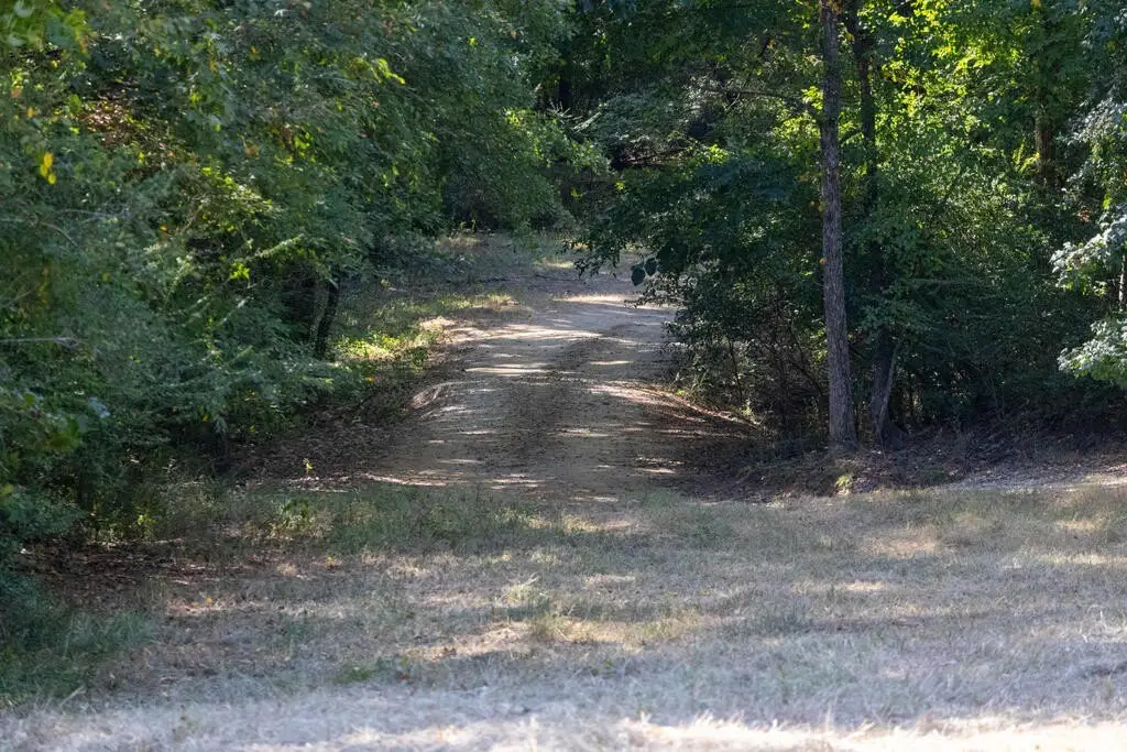 Picture 38