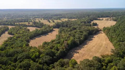 Fenced Agricultural Land