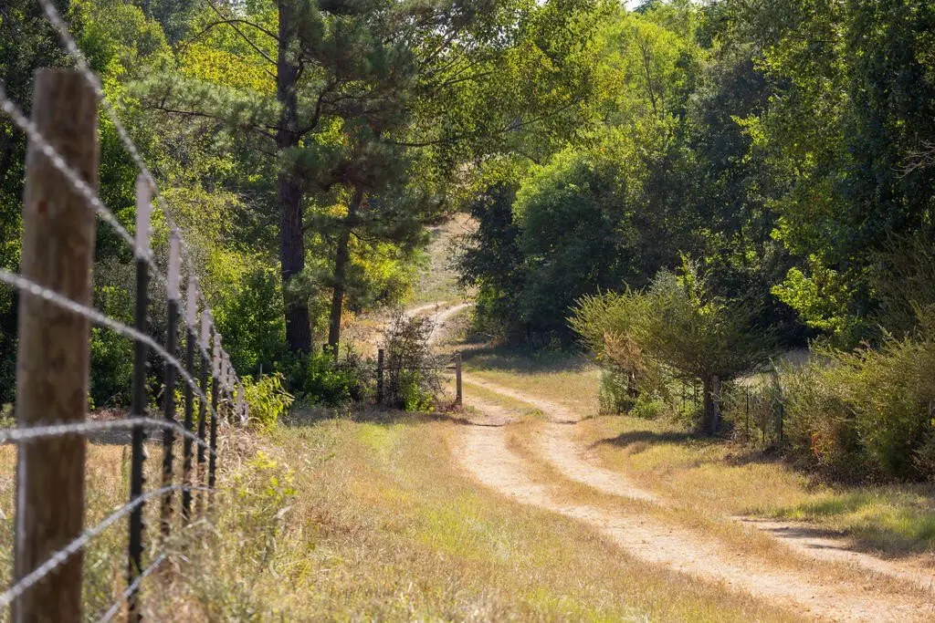 Picture 42