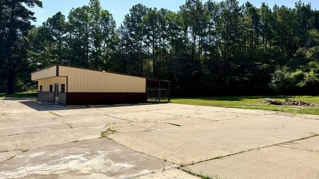 Picture 13