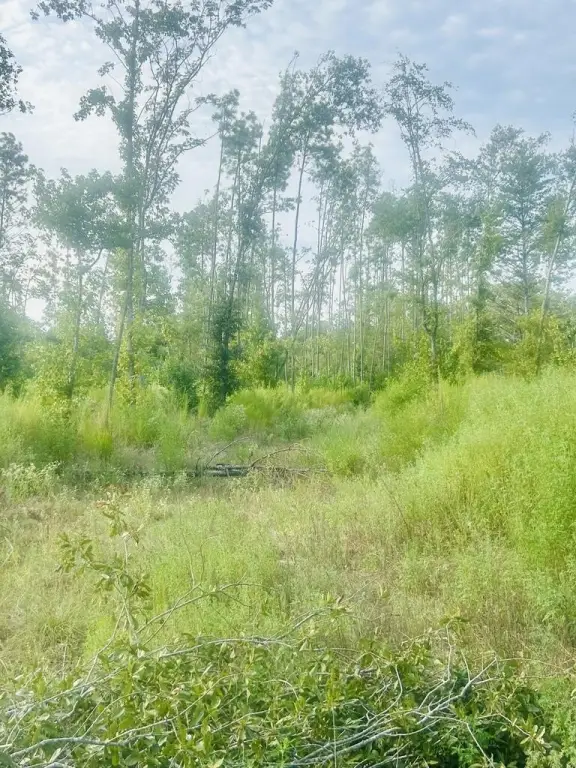 Picture 2