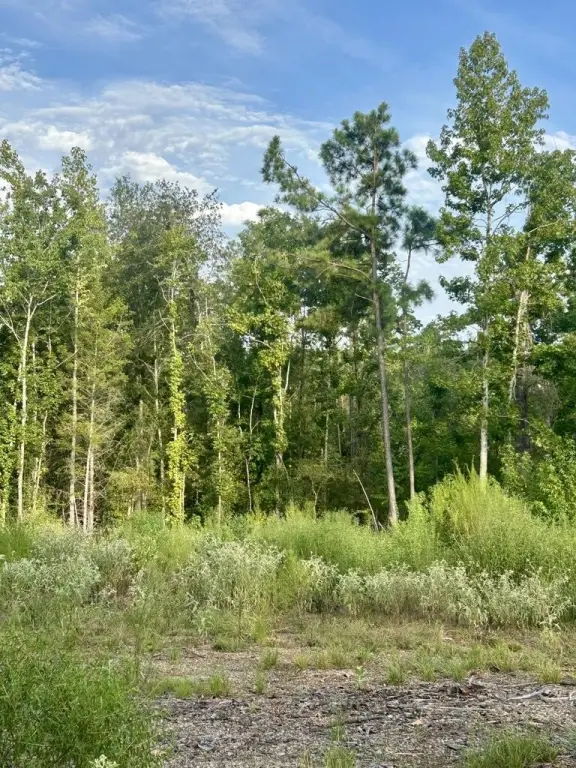 Picture 7