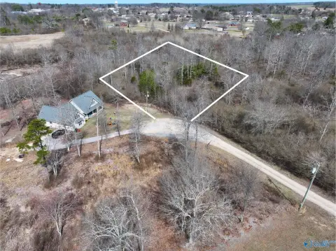 Residential Land in Geraldine, AL