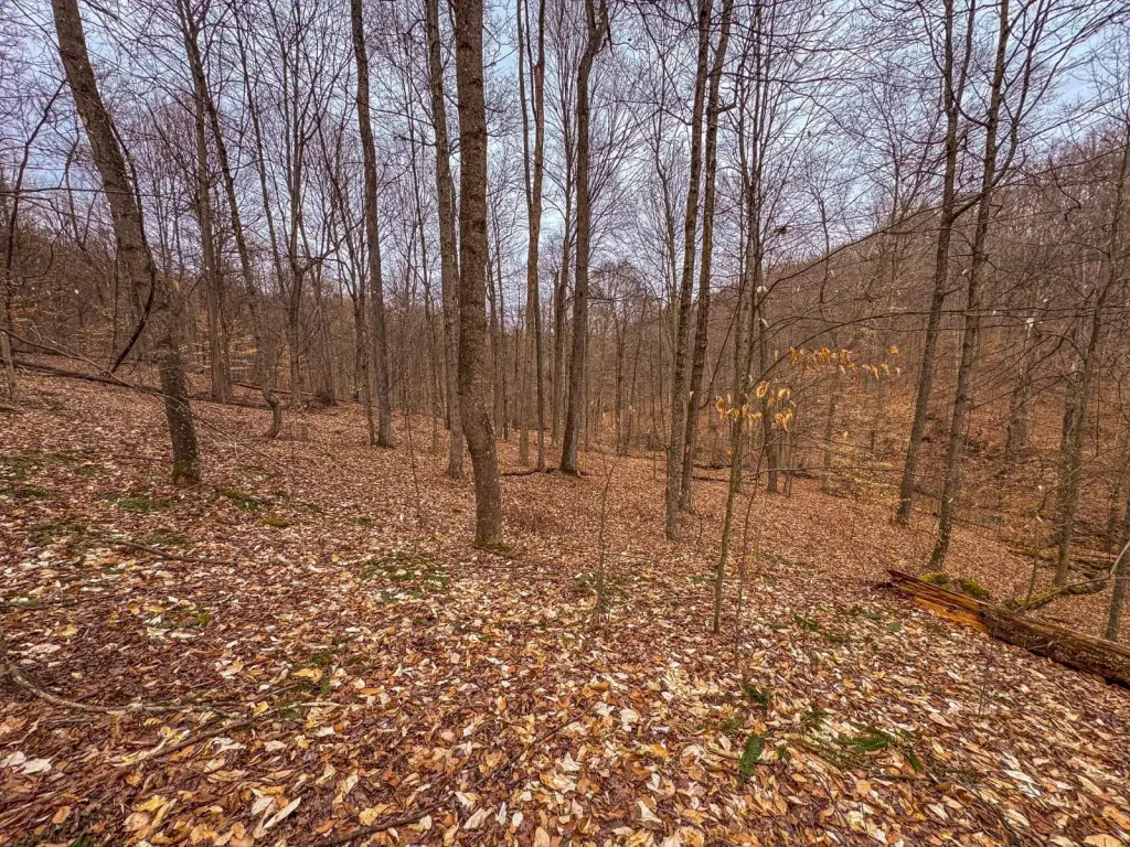 Picture 41