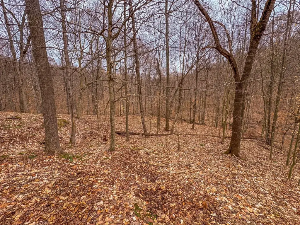 Picture 37