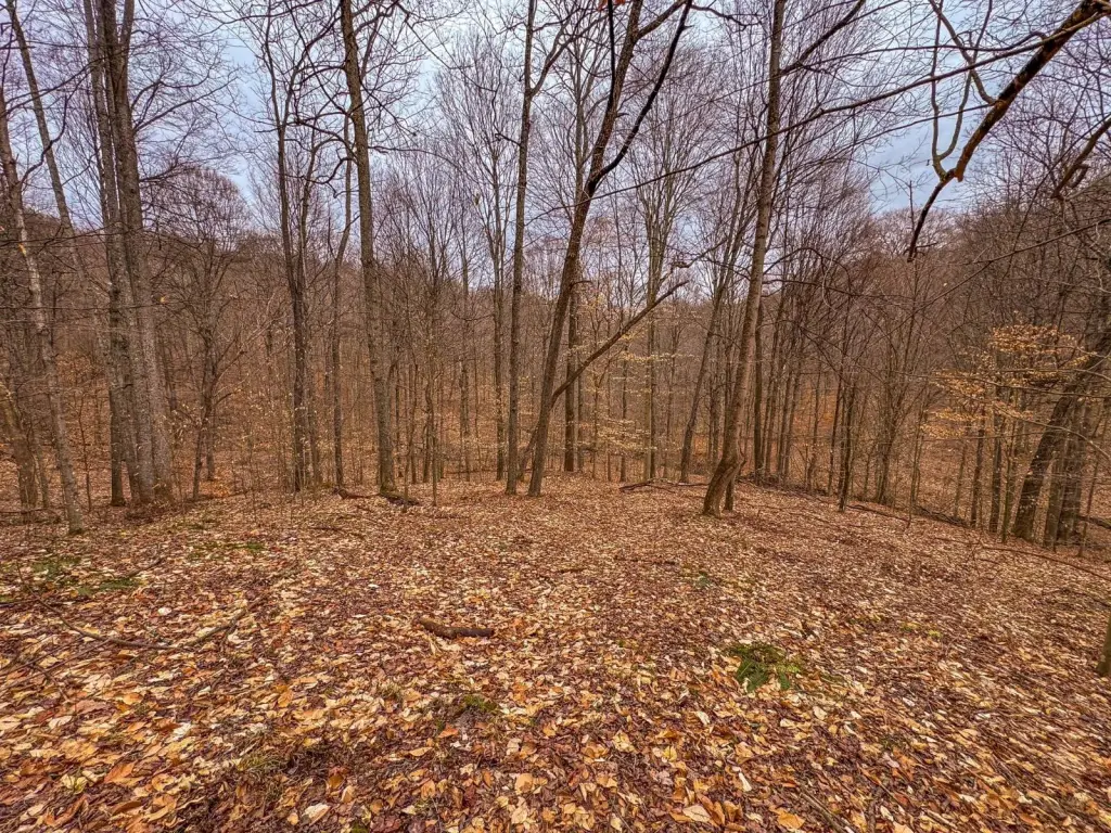 Picture 31