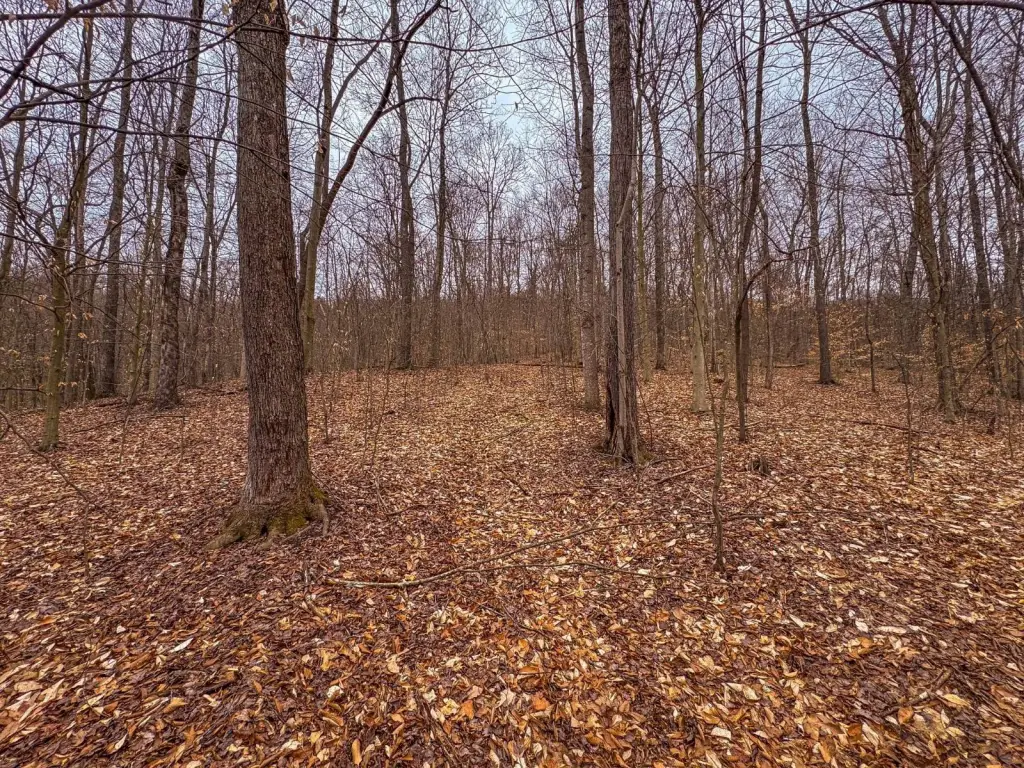 Picture 32