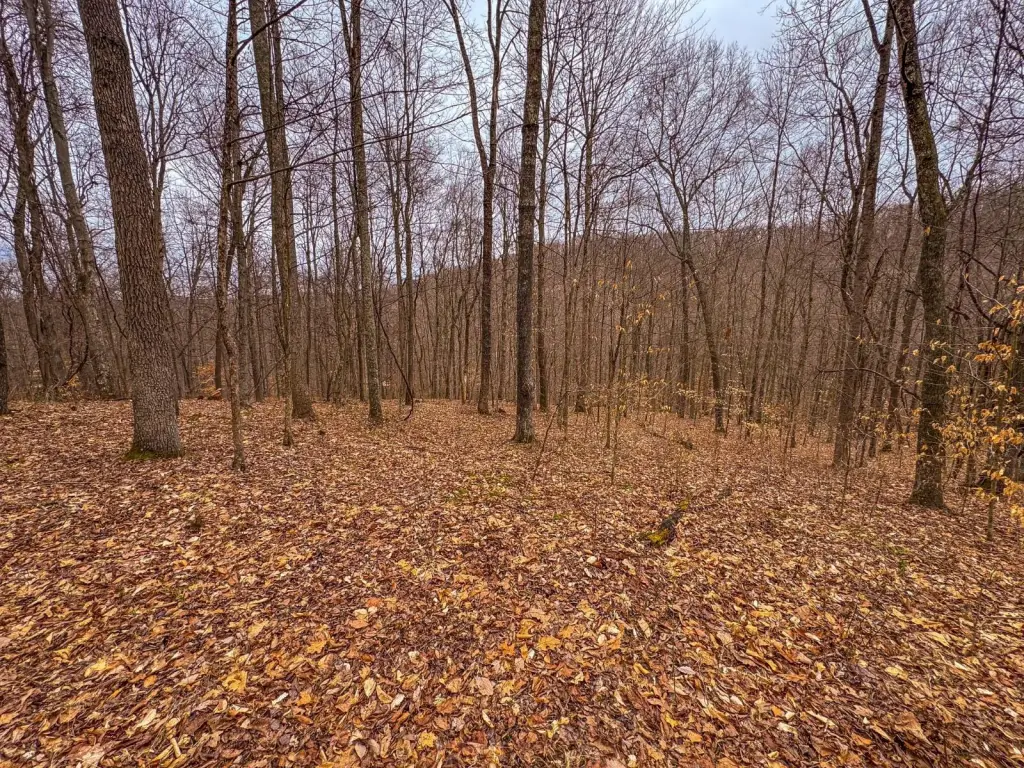 Picture 49