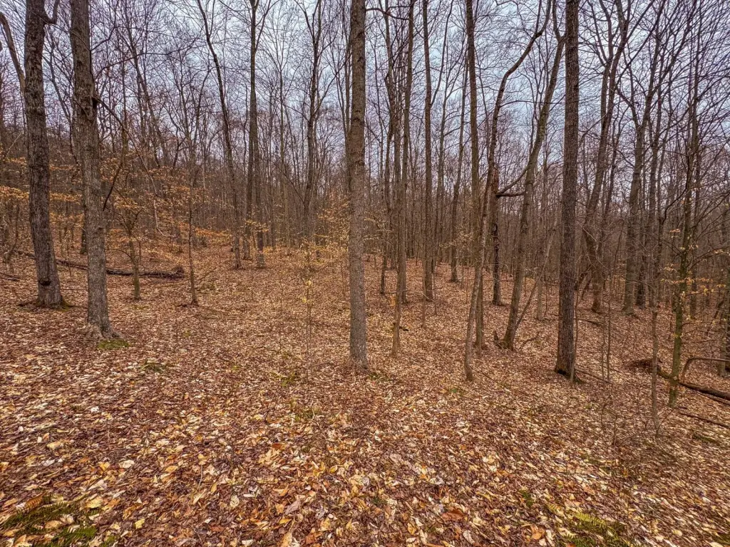 Picture 39