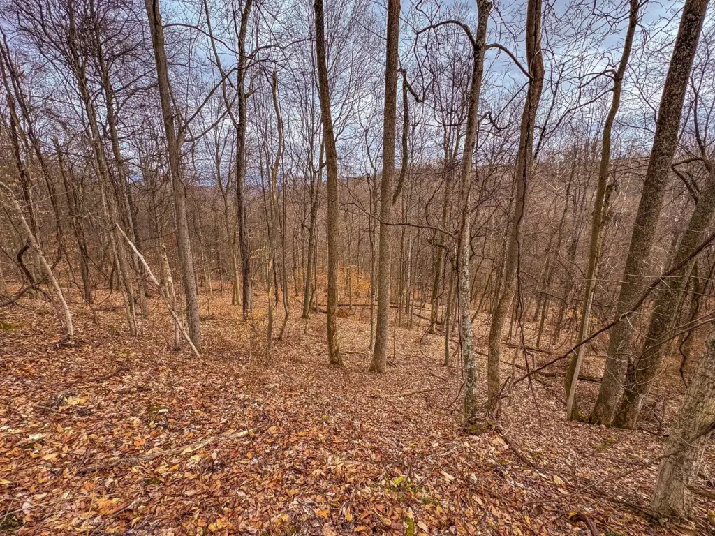 Picture 16