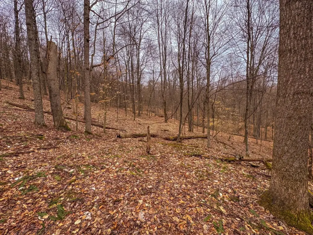 Picture 48
