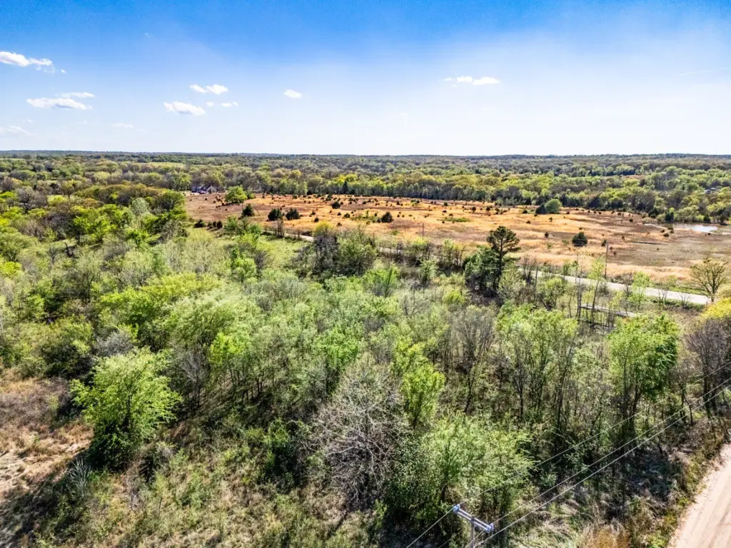 Picture 19