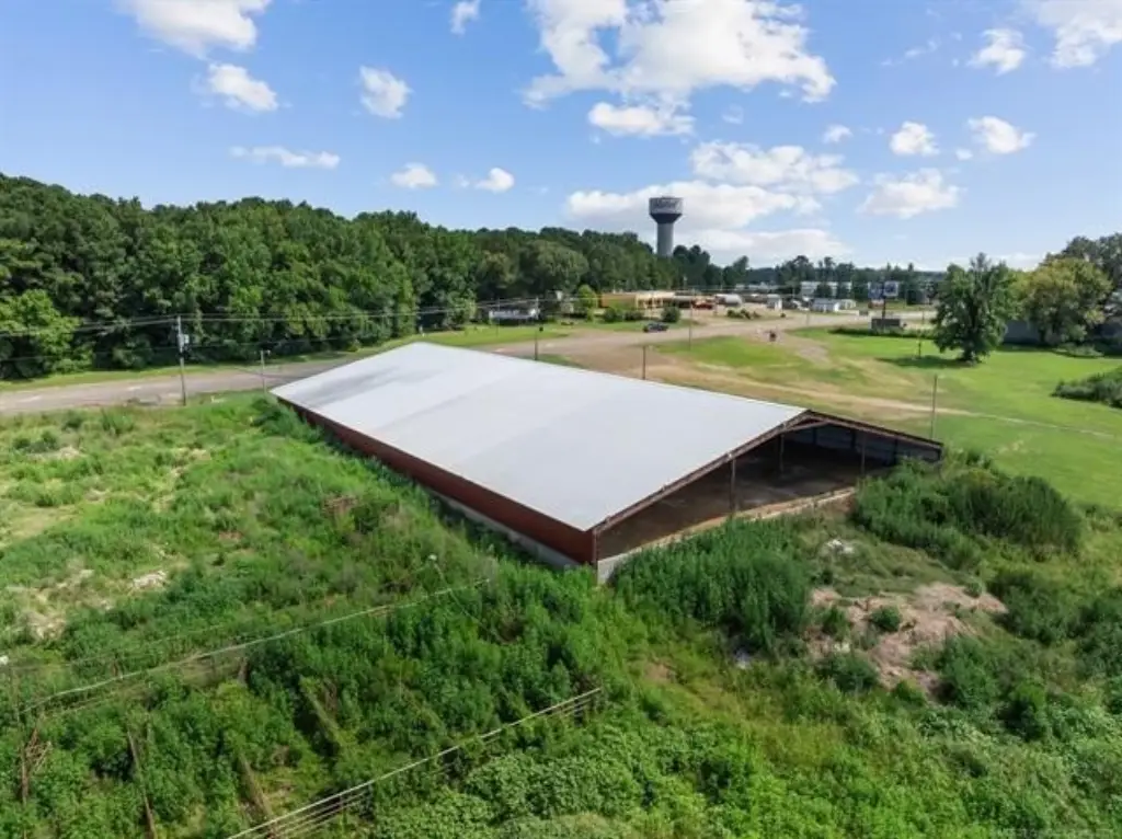 Picture 14