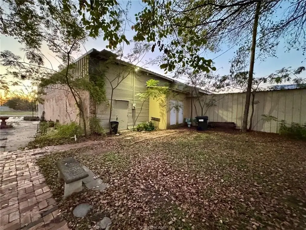 Picture 11