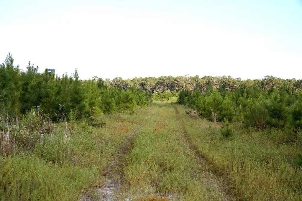 Picture 8
