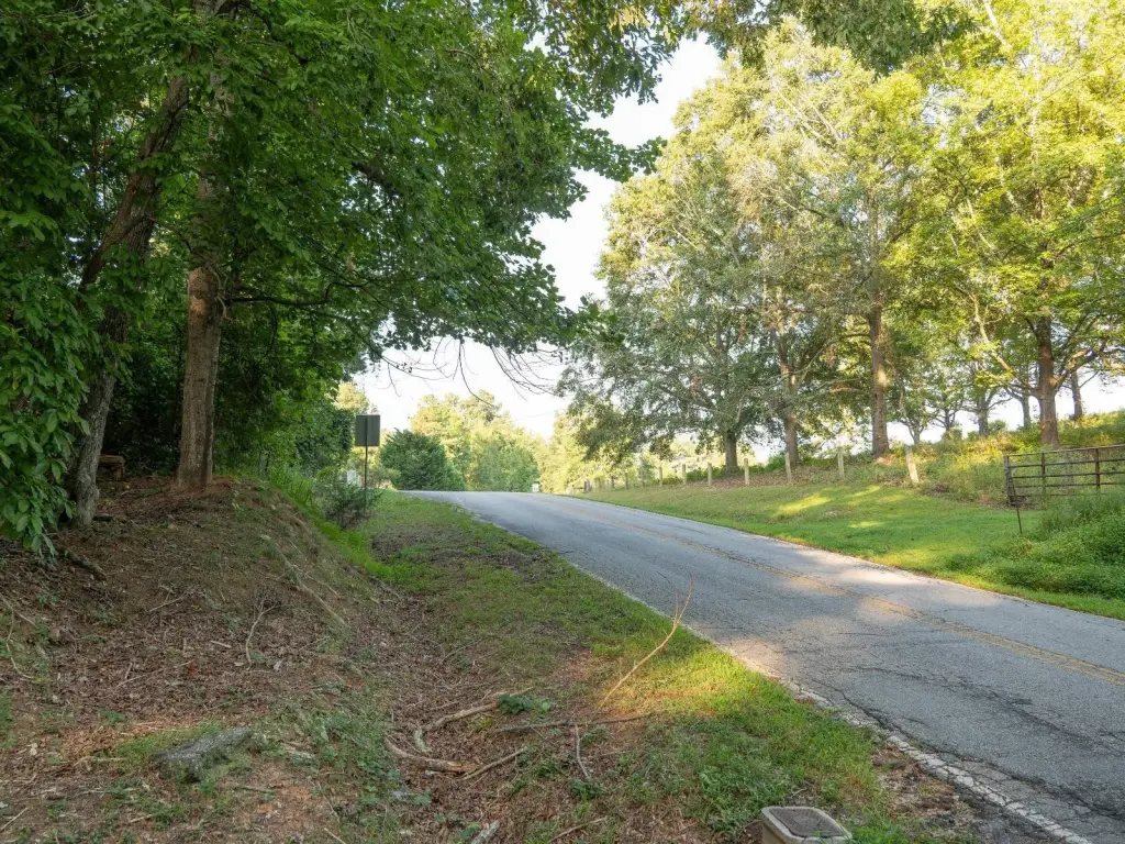 Picture 20