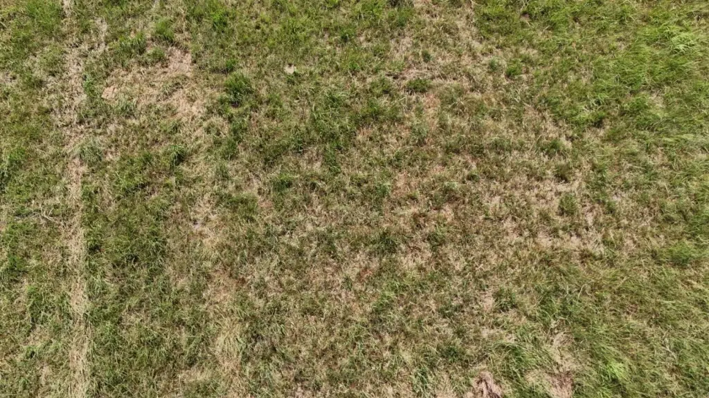 Picture 48