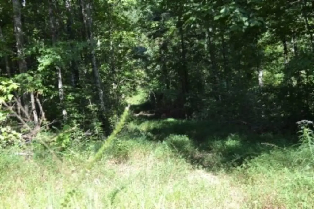 Picture 23