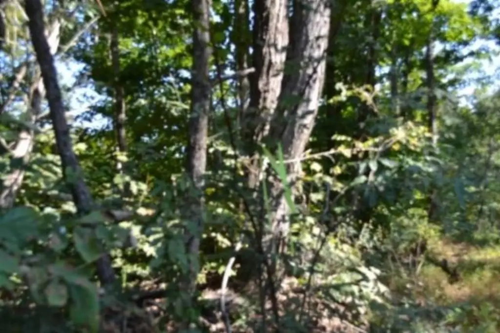 Picture 16