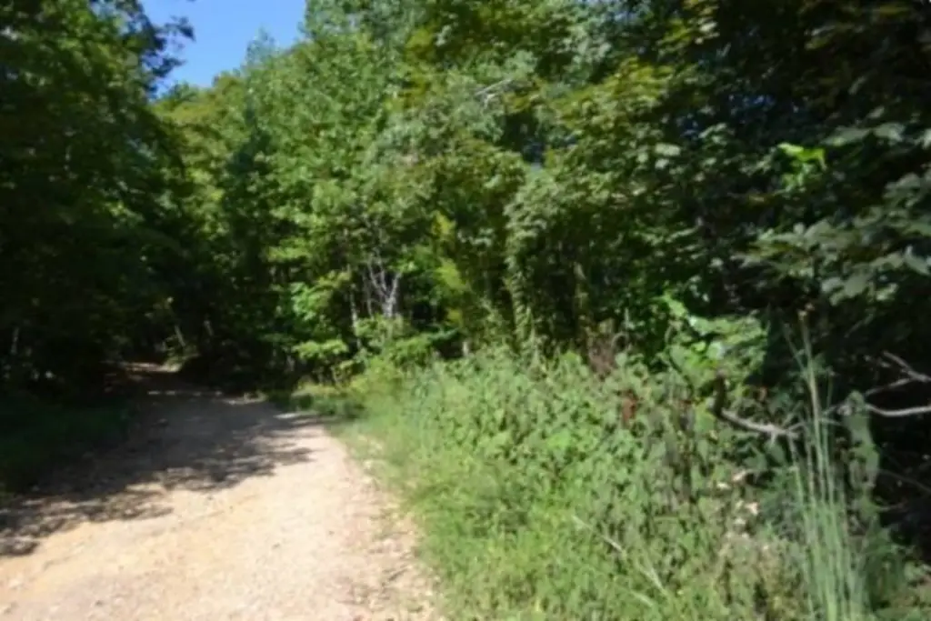 Picture 19