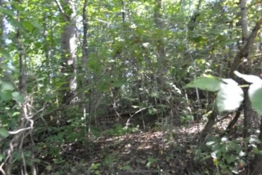 Picture 14