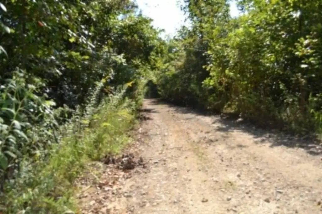 Picture 9