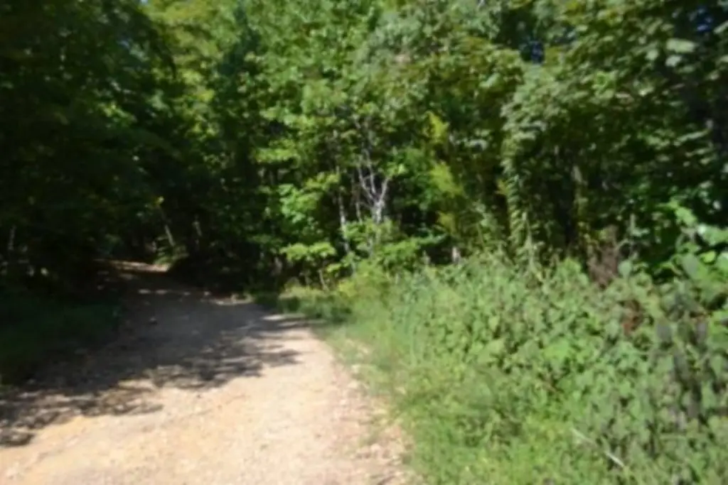 Picture 20