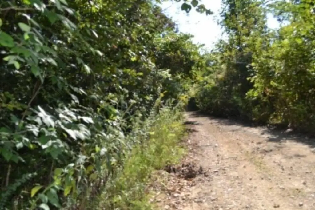 Picture 6