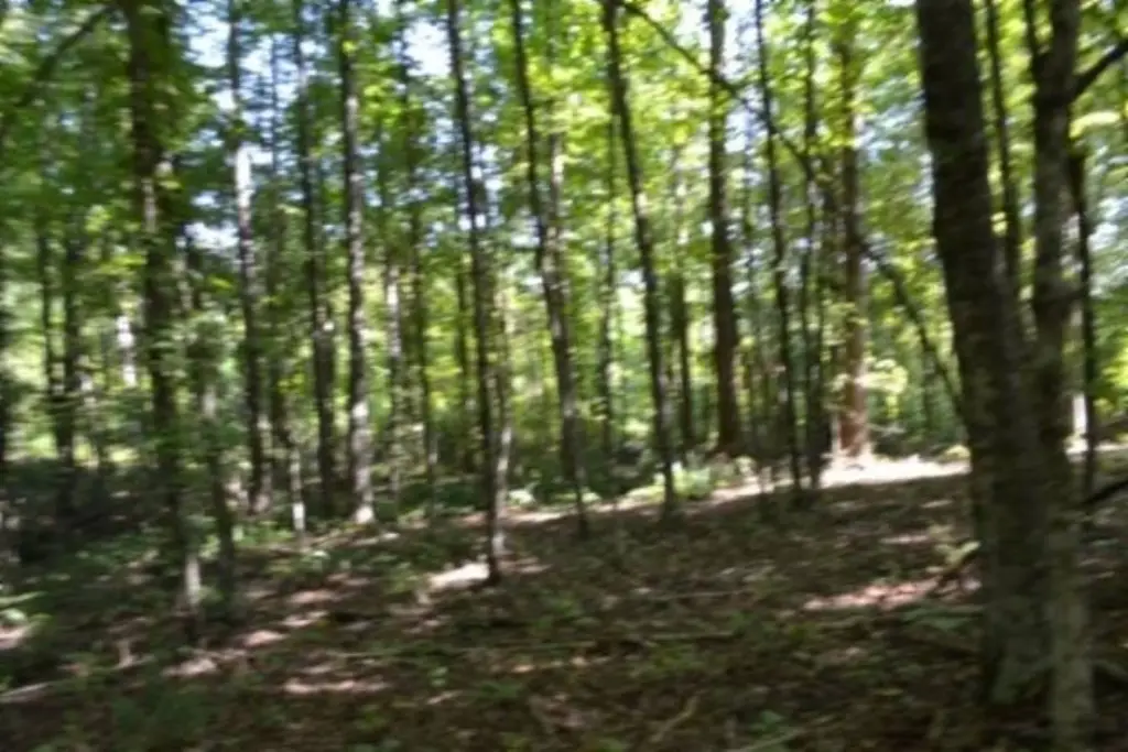 Picture 30