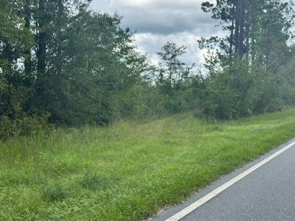 Picture 34