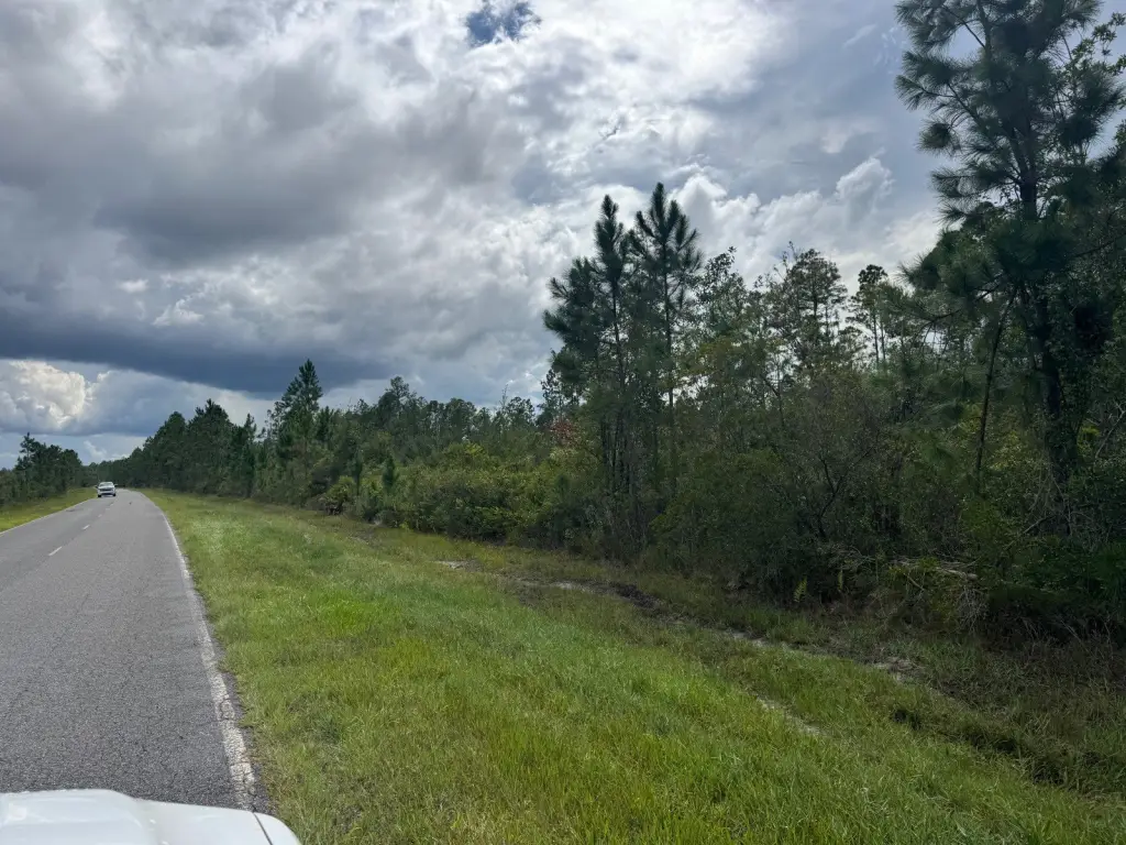 Picture 45