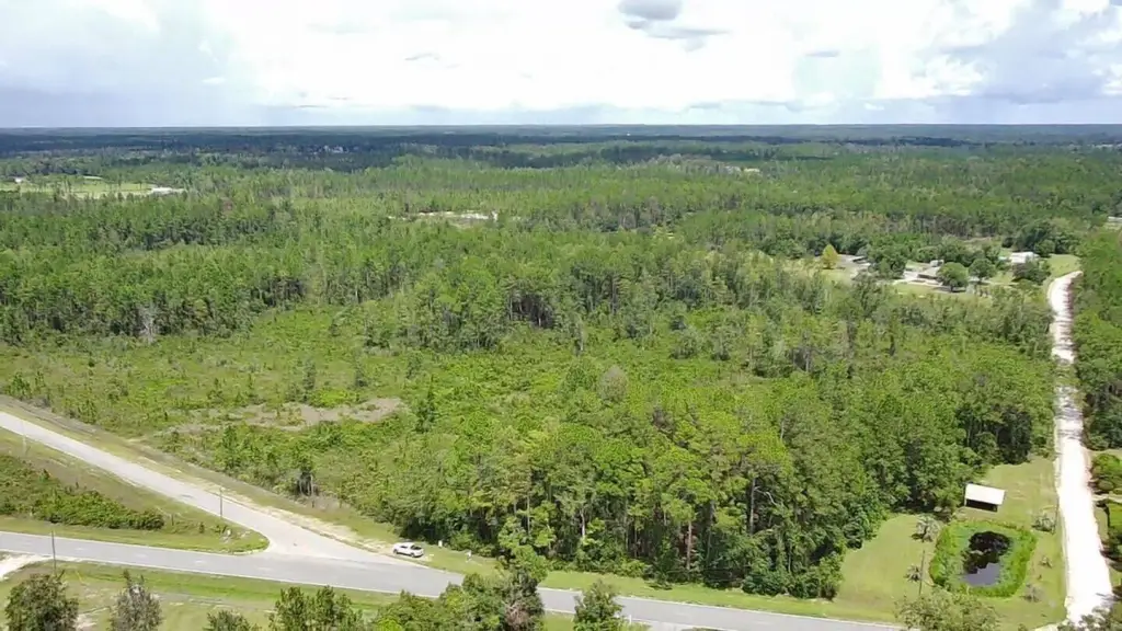 Picture 17