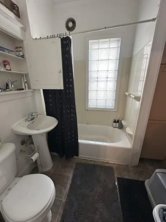 Picture 17