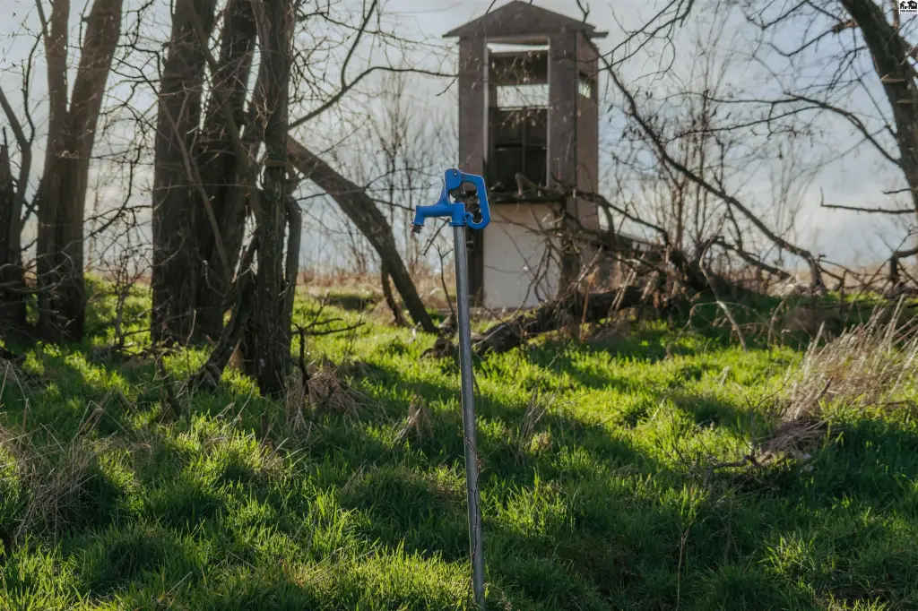 Picture 16