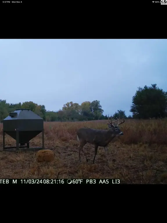 Picture 24