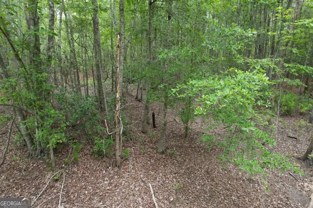 Picture 7