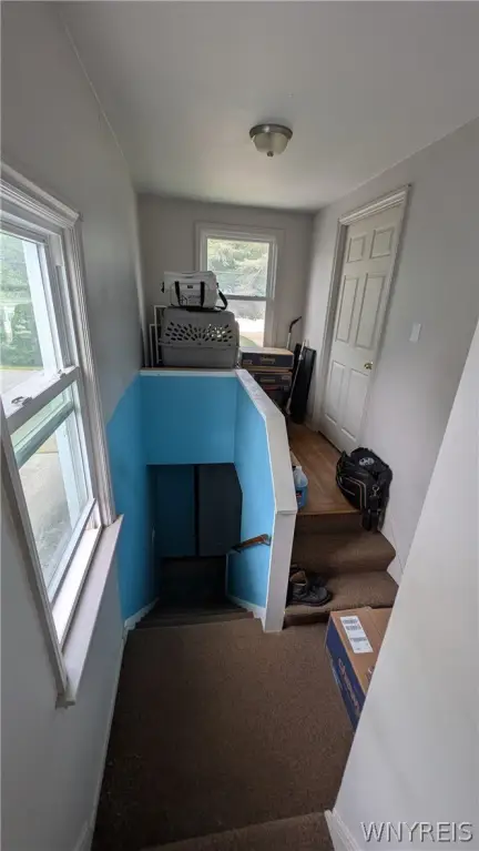 Picture 22