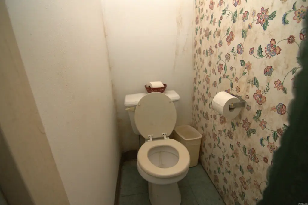 Picture 23