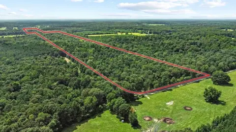 Avery, TX Hunting/Recreation Land