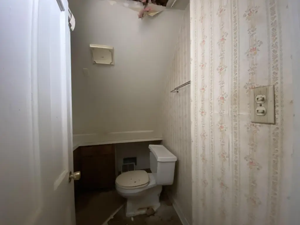Picture 7