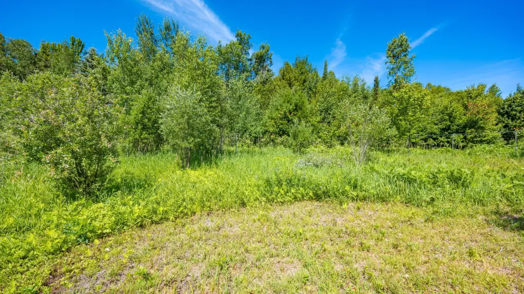 Picture 30
